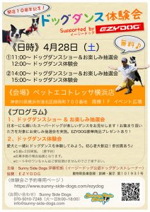 4/28(土)無料のドッグダンス体験会を開催します！！