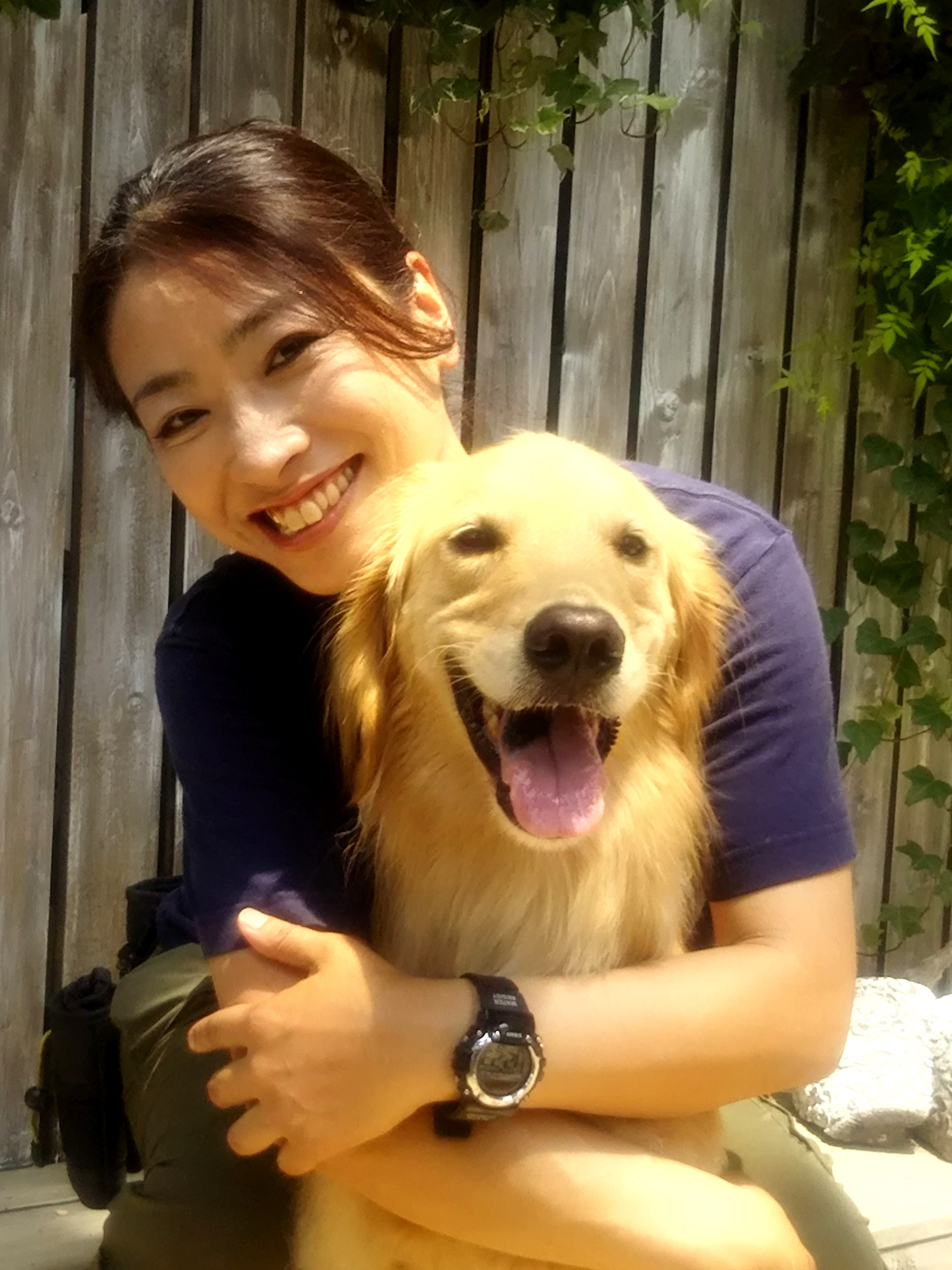 災害救助犬を育てる「日本レスキュー協会」