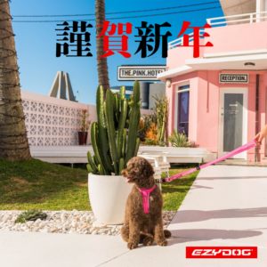 あけましておめでとうございます